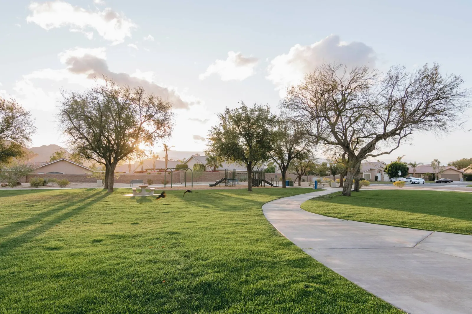 The park across the street at sunset